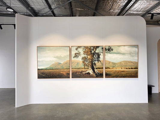 'The Cazneaux Tree, Flinders Ranges South Australia' by Christian Fletcher, original Australian artwork