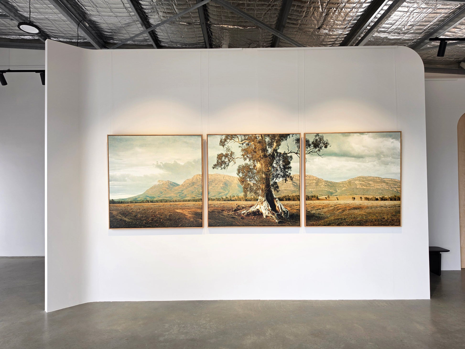 'The Cazneaux Tree, Flinders Ranges South Australia' by Christian Fletcher, original Australian artwork