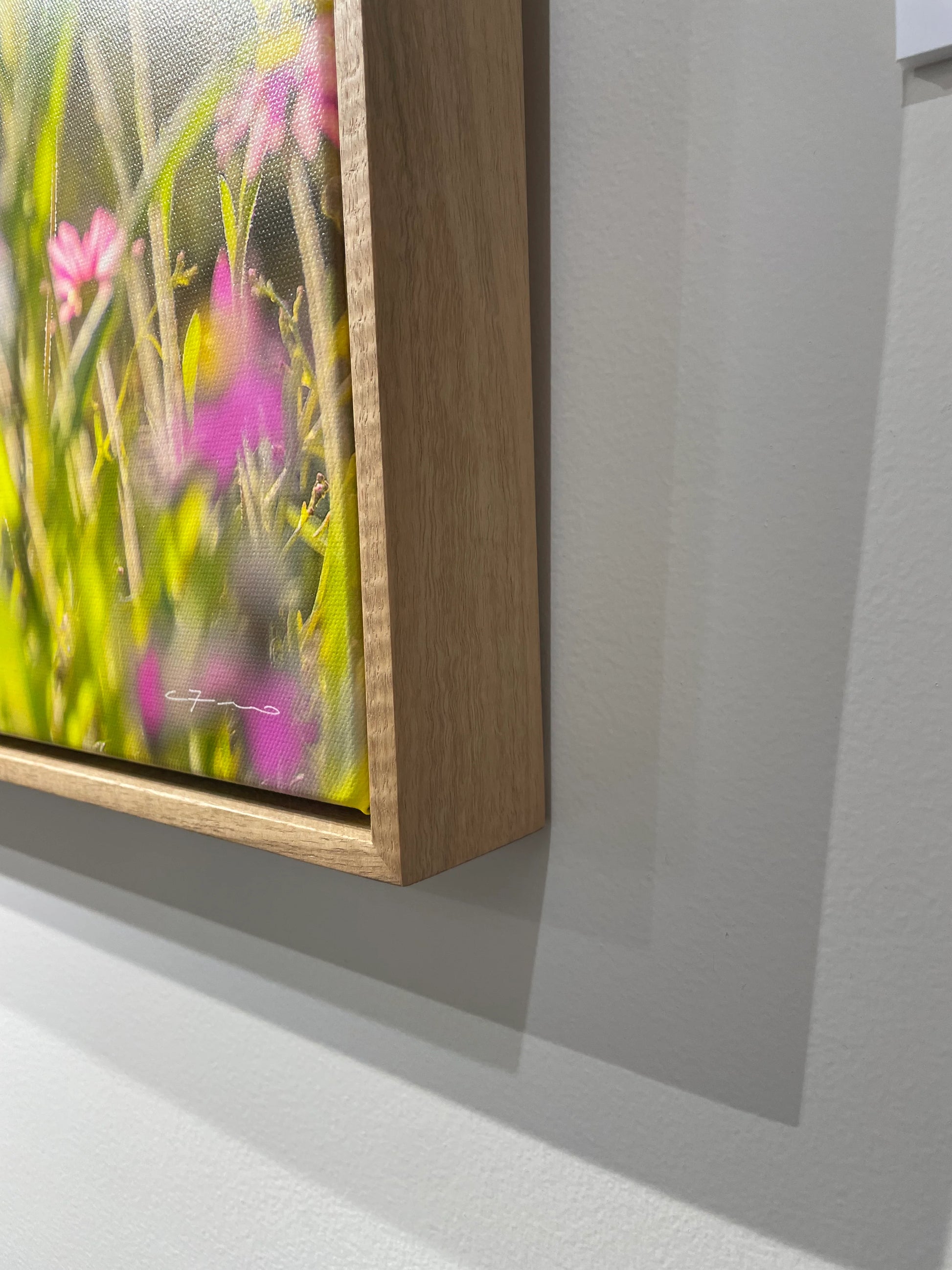'Wildflowers, Mid West' by Christian Fletcher, original Australian artwork – alternate view