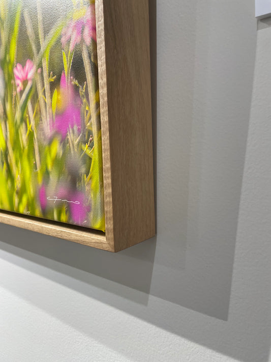 'Wildflowers, Mid West' by Christian Fletcher, original Australian artwork – alternate view