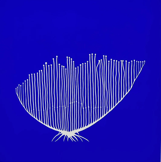 'Deep Sea Heart Sponge #2 (Chondrocladia Lyra)' by Ian Daniel, original Australian artwork – alternate view